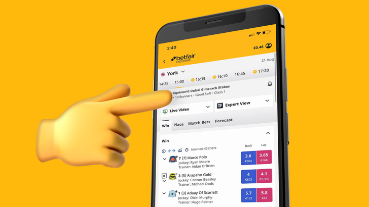 Reading the Betfair Screen & Navigating the Exchange